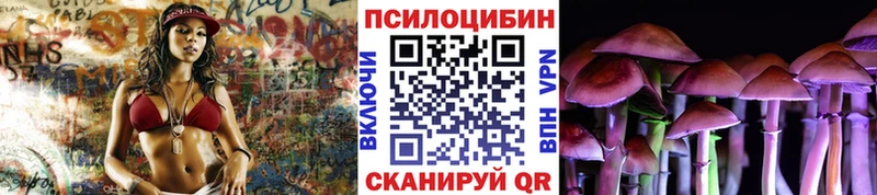 Псилоцибиновые грибы прущие грибы  Струнино 